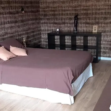 La Cigale Et La Fourmi Habitación en casa particular Nimes