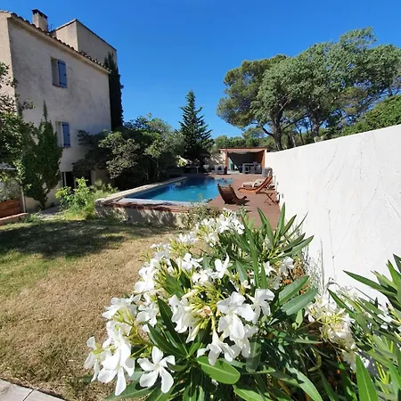 La Cigale Et La Fourmi Nimes